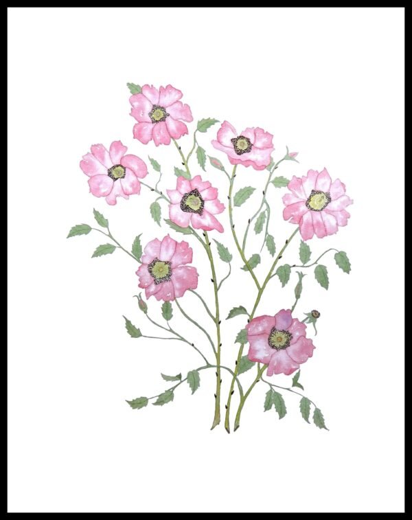 AIM 631 Prairie Roses (S/N LIMITED EDITION)